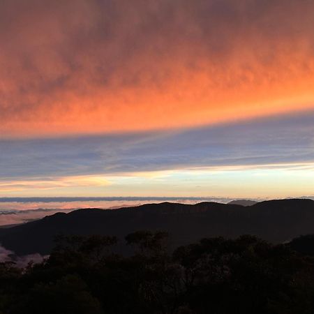 Valley Of The Waters B&B Wentworth Falls Extérieur photo