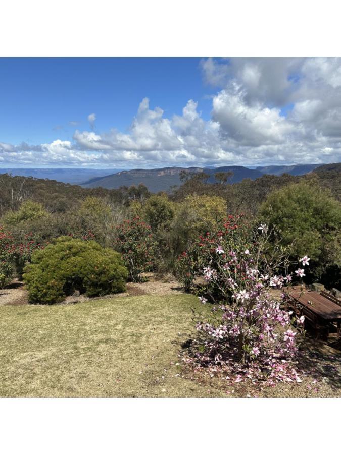 Valley Of The Waters B&B Wentworth Falls Extérieur photo