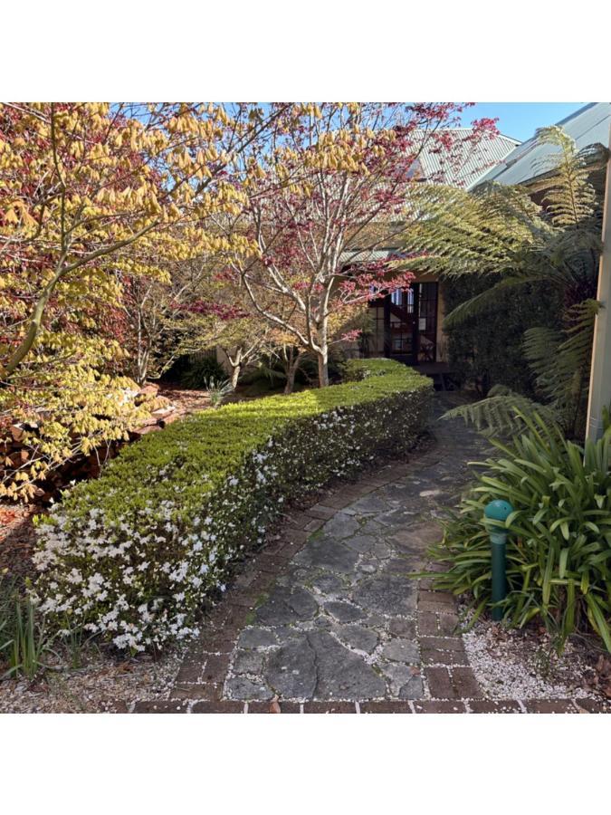Valley Of The Waters B&B Wentworth Falls Extérieur photo