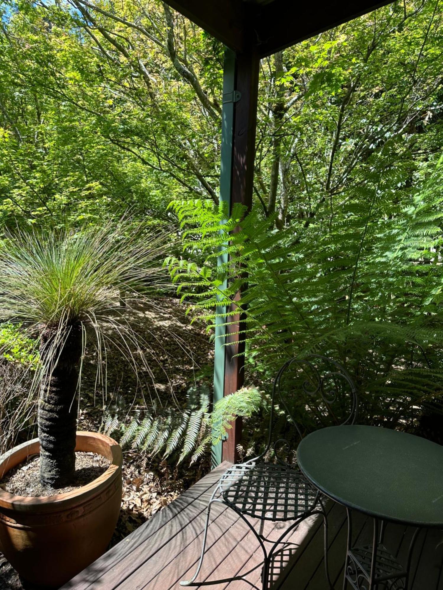 Valley Of The Waters B&B Wentworth Falls Extérieur photo