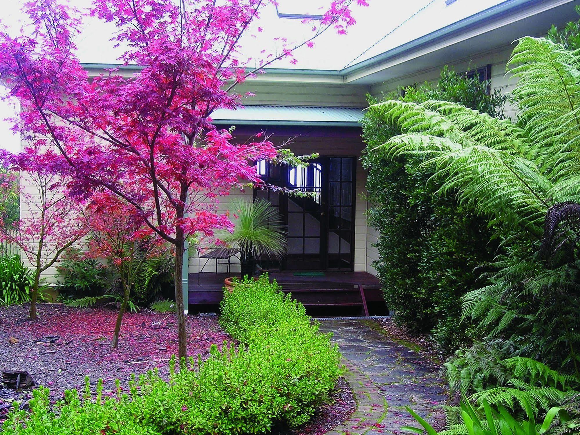 Valley Of The Waters B&B Wentworth Falls Extérieur photo