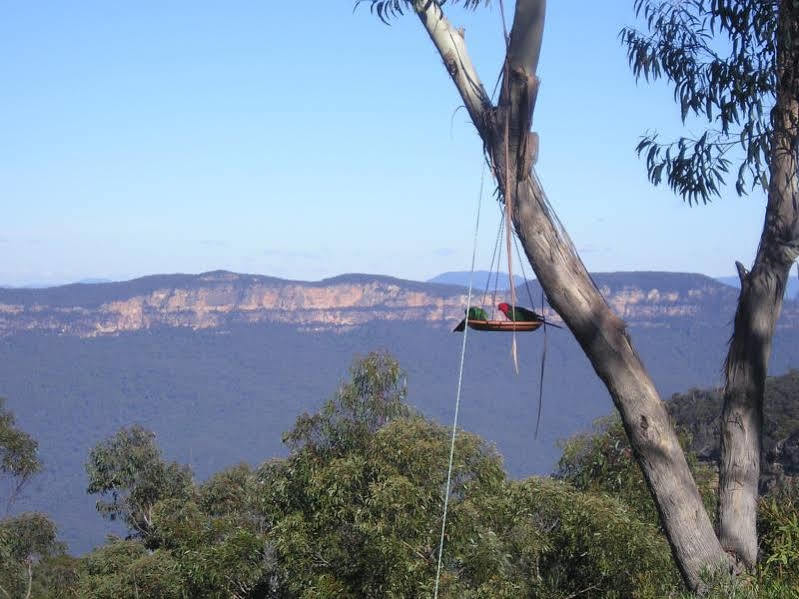 Valley Of The Waters B&B Wentworth Falls Extérieur photo