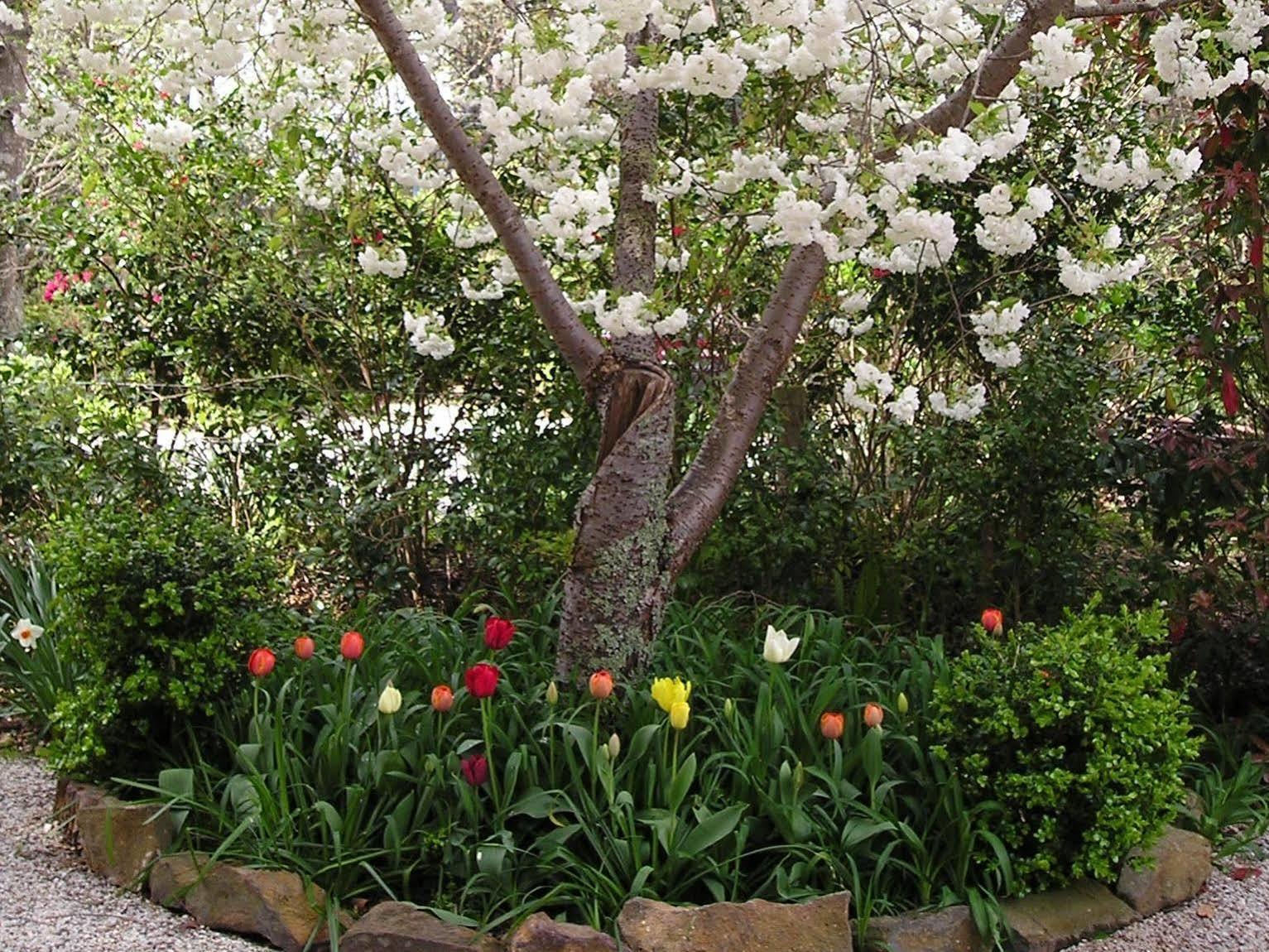Valley Of The Waters B&B Wentworth Falls Extérieur photo