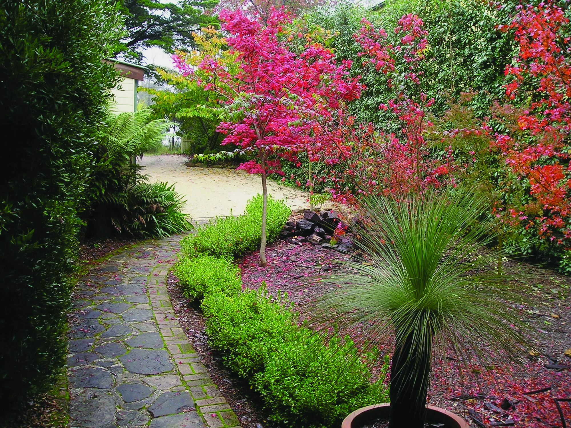 Valley Of The Waters B&B Wentworth Falls Extérieur photo